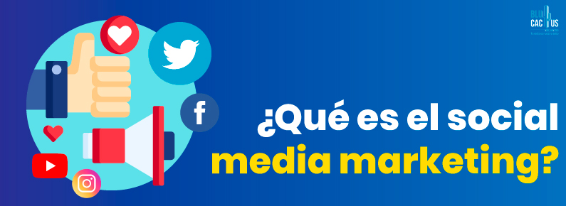 BluCactus Que es el social media marketing
