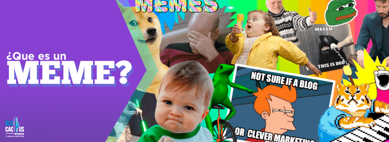 BluCactus-Que-es-un-meme BluCactus Que es un meme