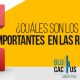 BluCactus -KPIs en las redes sociales - titulo