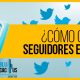 BluCactus - Seguidores en Twitter - titulo