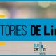 BluCactus - Stories de LinkedIn - titulo