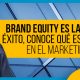 BluCactus - brand equity - titulo