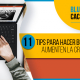 BluCactus - tips para hacer buenas presentaciones - titulo