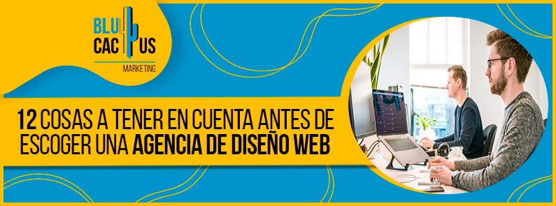 Blucactus-12-cosas-a-tener-en-cuenta-antes-de-escoger-una-agencia-de-diseño-web-portada BluCactus - 12 cosas a tener en cuenta antes de escoger una agencia de diseño web - portada