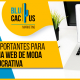 Blucactus - 12 elementos mas importantes para construir una pagina web de moda altamente lucrativa