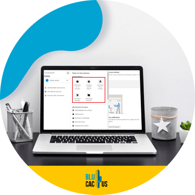 blucactus - 2. Asignar etiquetas de usuarios