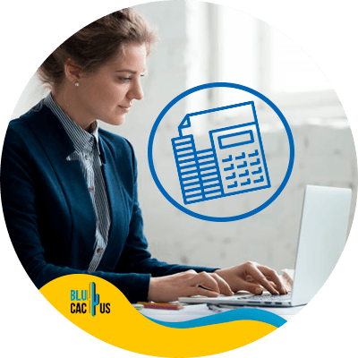 blucactus - 3. Estimar un presupuesto - Guía completa paso a paso para convertirte en administrador de anuncios de Facebook en el 2021