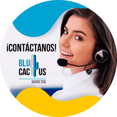 blucactus - contactanos