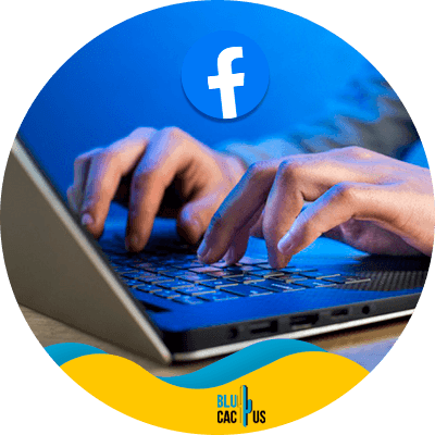 blucactus - Desglose - Guía completa paso a paso para convertirte en administrador de anuncios de Facebook en el 2021
