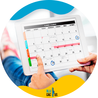 Blucactus - Ten un calendario de contenido - Guía de Facebook Marketing para negocios de Moda