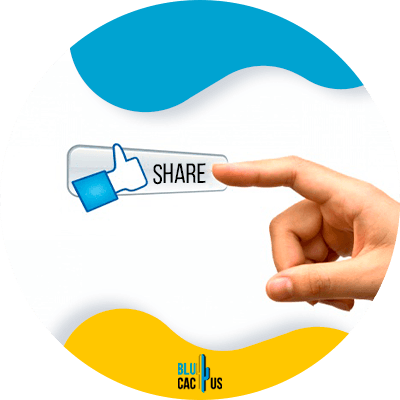 Blucactus - Comparte contenido