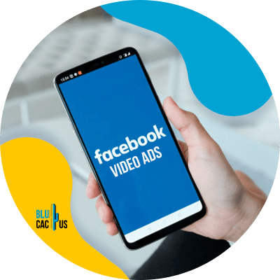 Blucactus - Anuncios de vídeos