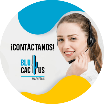 Blucactus - Contactanos - Guía de Facebook Marketing para negocios de Moda