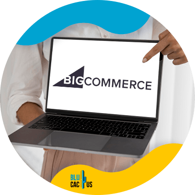 Blucactus-2-Big-commerce - Los mejores desarrolladores web para e-commerce