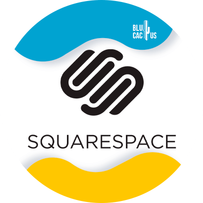 Blucactus-4-Squarespace - Los mejores desarrolladores web para e-commerce