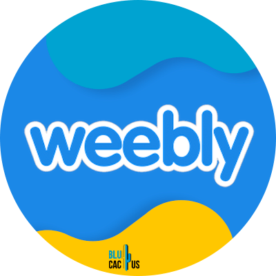 Blucactus-7-Weebly