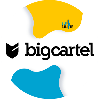 Blucactus-9-Big-cartel