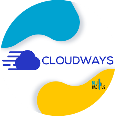 Blucactus-4-Cloudways - Los Mejores y Más Económicos Planes de Cloud Hosting en el 2021