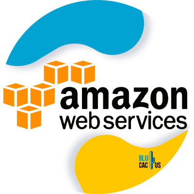 Blucactus-8-Amazon-AWS