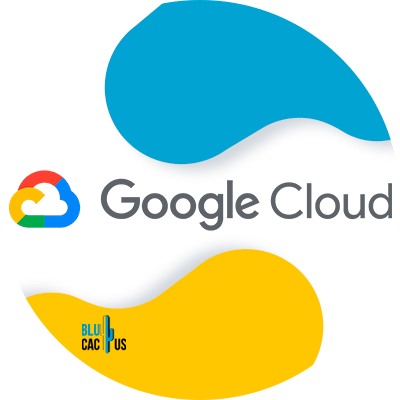 Blucactus-9-Google-cloud