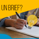 BluCactus - Cómo hacer un brief