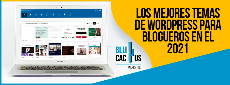 Blucactus-Los-Mejores-Temas-De-WordPress-Para-Blogueros-En-El-2021-portada