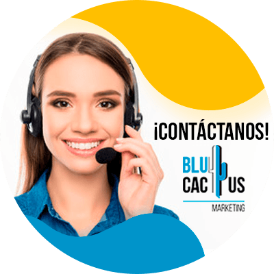 Blucactus-contactanos