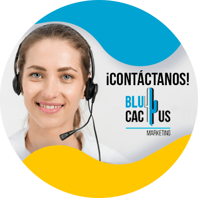 Blucactus-contactanos