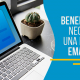 BluCactus - estrategia de email marketing