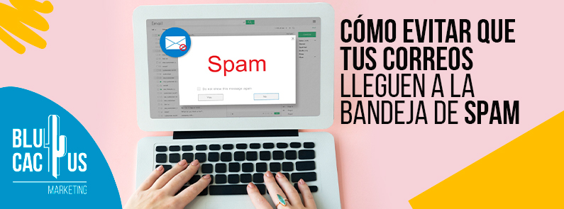 Blucactus-Como-evitar-que-tus-correos-lleguen-a-la-bandeja-de-spam-portada BluCactus - bandeja de spam