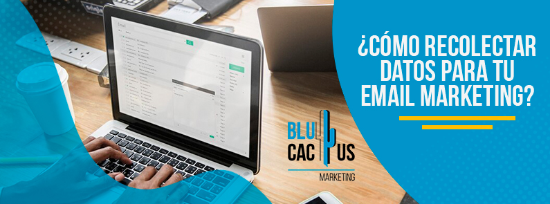 Blucactus-Como-recolectar-datos-para-tu-email-marketing-portada(1) BluCactus - email marketing