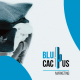 BluCactus - Qué es la estrategia de marketing de Adidas