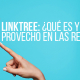 BluCactus - Linktree