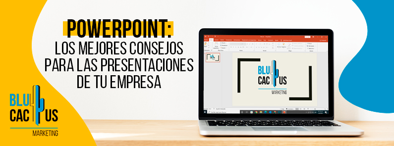BluCactus - PowerPoint