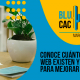 BluCactus - sitios web