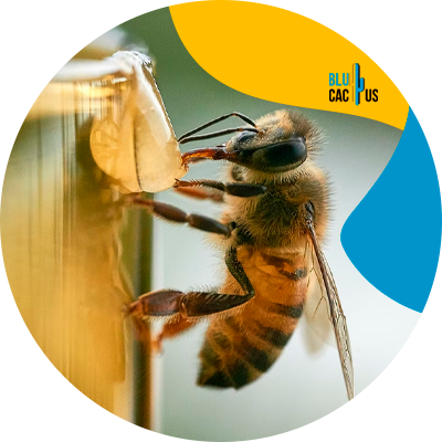 BluCactus - Abeja