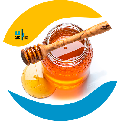 BluCactus - Producto dulce