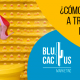 BluCactus - ¿Cómo vender zapatos a través del email marketing?