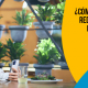 blucactus - ¿Cómo el alcance de las redes sociales puede beneficiar a los restaurantes?