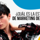 BluCactus - ¿Cuál es la estrategia de marketing de Desigual?