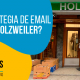 BluCactus - ¿Cuál es la estrategia de email marketing de Holzweiler?