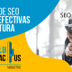 BluCactus - Cuatro prácticas de SEO simples pero efectivas en la escritura