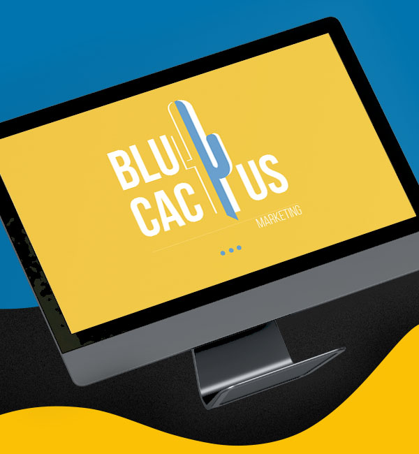 Blucactus-Mexico-Agencia de Google ADS-CDMX-6 BluCactus - Agencia de Google Ads en Guadalajara - smartphone