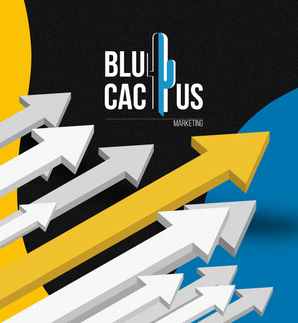 Gestión de campañas de pago por clic en la CDMX BluCactus - Agencia de Google Ads en Guadalajara
