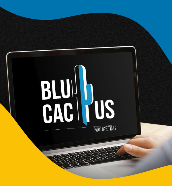 Blucactus-Mexico-Agencia de Google ADS-Cancún-4 BluCactus - Agencia de Google Ads en Guadalajara
