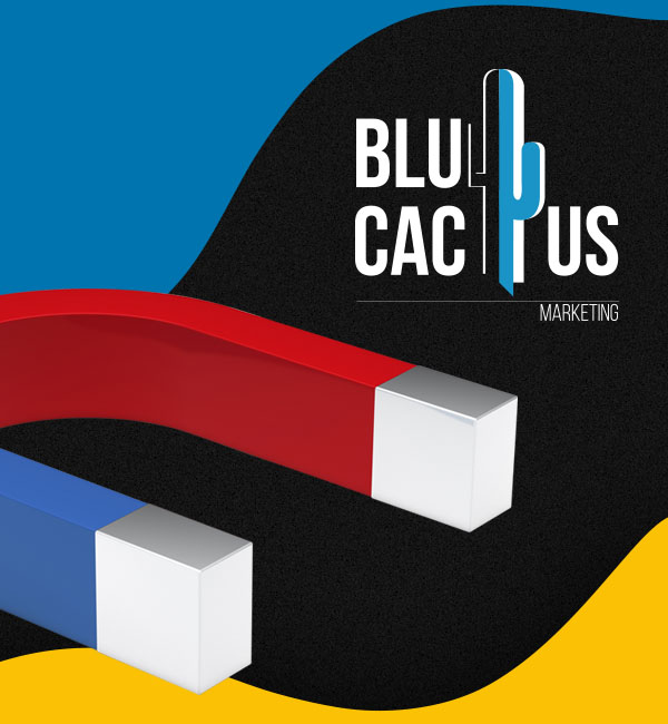 Blucactus-Mexico-Agencia de Google ADS-Cancún-6 BluCactus - Agencia de Google Ads en Guadalajara