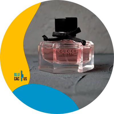 BluCactus - ¿Qué normas oficiales mexicanas aplican en la elaboración de los cosméticos? ¿Qué dice la Norma Oficial Mexicana NOM 141 SSA1 SCFI 2012?