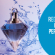 BluCactus - Reglas de etiquetado para tiendas de perfumes originales en México