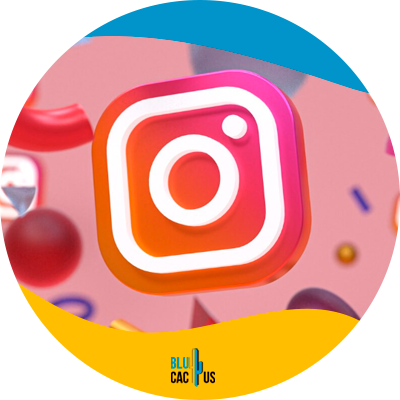 Blucactus Mexico - ¿Cómo manejar las redes sociales en una empresa de logística?