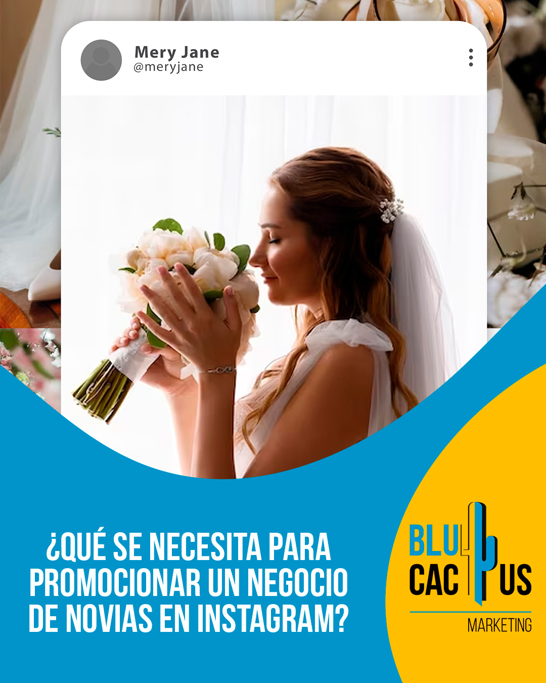 Blucactus Mexico - ¿Qué se necesita para promocionar un negocio de novias en Instagram?